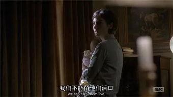 第八视频,揭秘科技前沿，探索未知领域