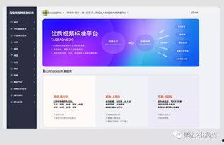 视频推广案例,案例解析，解锁高效推广秘诀